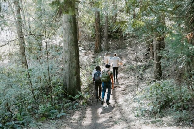 The ten most commonly used homeopathic medicines in first aid situations.