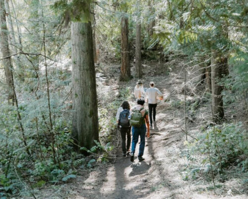 Homeopathy First Aid For Everyone