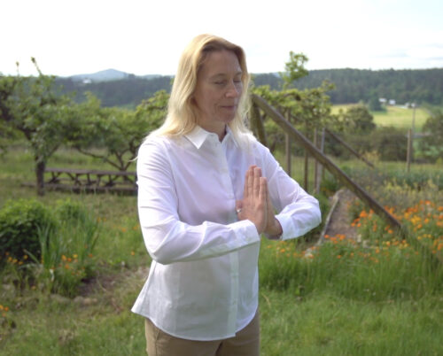 Qi Gong Meditation: 5 Element Protection Exercise