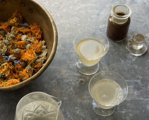 Botanical Tonics, Fermentations & Potions