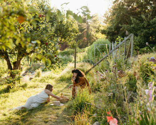 Community Herbalist Online - 12 Month payment plan